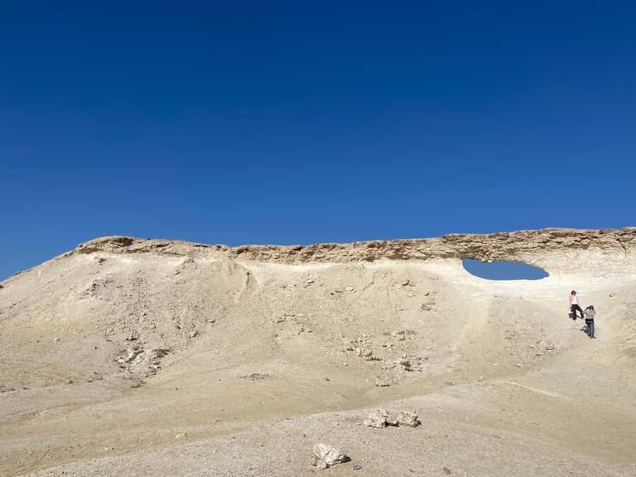 Doha Full Day North & West Tour | Rich History & culture - Al Thakira Mangroves Forest: A Quiet Reset in the Day