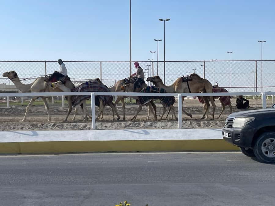 Doha Full Day North & West Tour | Rich History & culture - Fort Ruins and the Past Village Feel: Seeing What’s Left