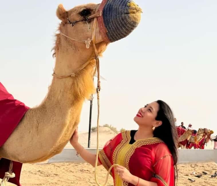 Doha: Half Day Desert Safari, Camel Ride , Sandboarding - Comfort and small details that add up
