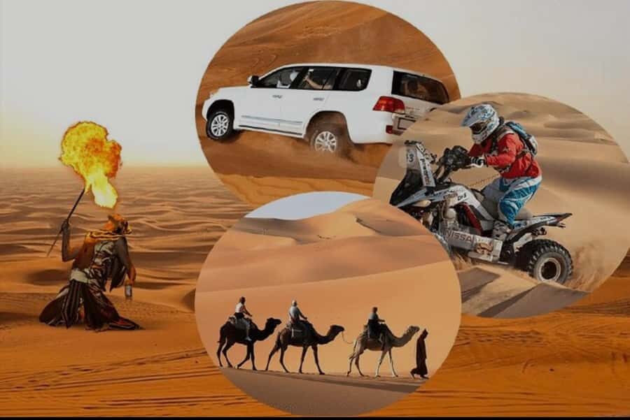 Doha: Half Day Desert Safari With Camel Ride & Sand Boarding - Key highlights to look for