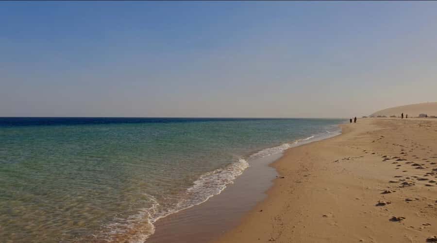 Doha: Half Day Desert Safari With Camel Ride & Sand Boarding - Inland Sea photo stops and golden-hour timing