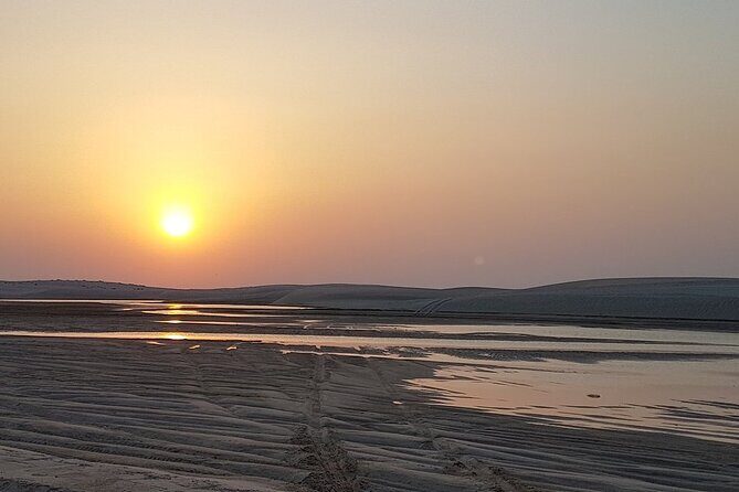 Doha : Half Day Desert Safari With SandBoarding and Camel Ride - Price and value: is $60 per person a fair deal?