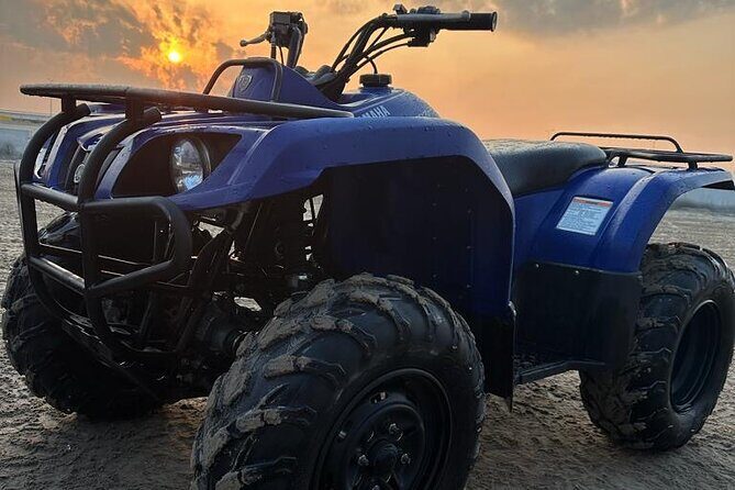 Doha-Half Day Safari with Quad Bike ATV/Camel Ride/sandboard - Who this tour fits best (and who should rethink it)