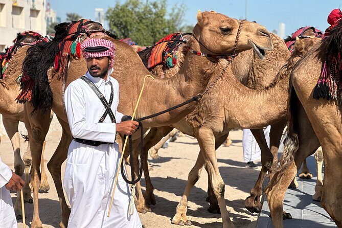 Doha Highlights Private City Tour with Licensed Tour Guide - Tips to Get More From Each Stop