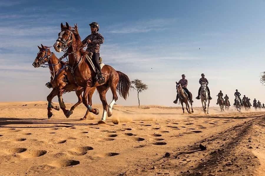 Doha : Horse Riding Tour With Transfer - From Doha to the equestrian center: the transfer that sets the mood