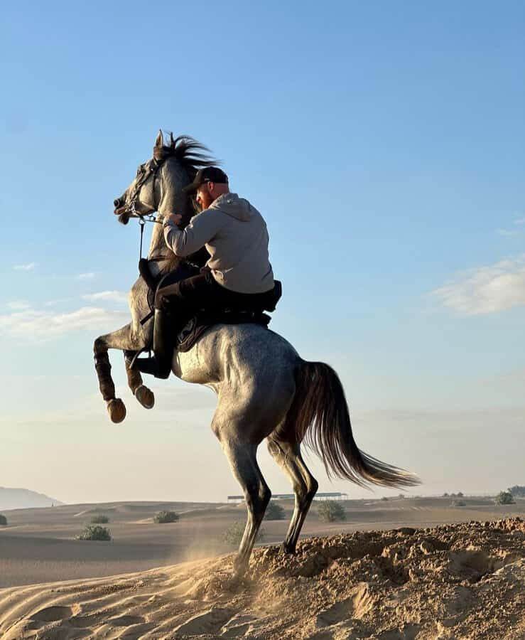 Doha : Horse Riding Tour With Transfer - Entering the dunes: what walk, trot, and canter actually feel like
