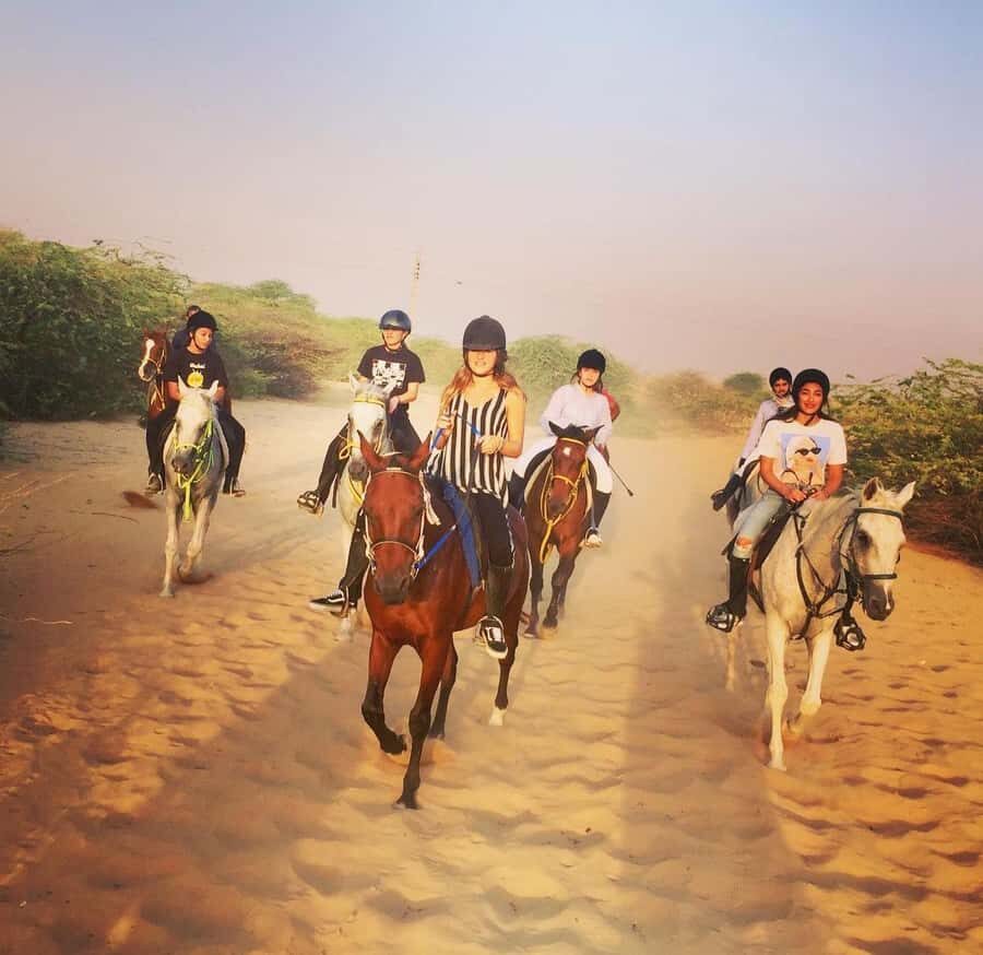 Doha : Horse Riding Tour With Transfer - Price and value for a $101, 3-hour desert ride with transfer
