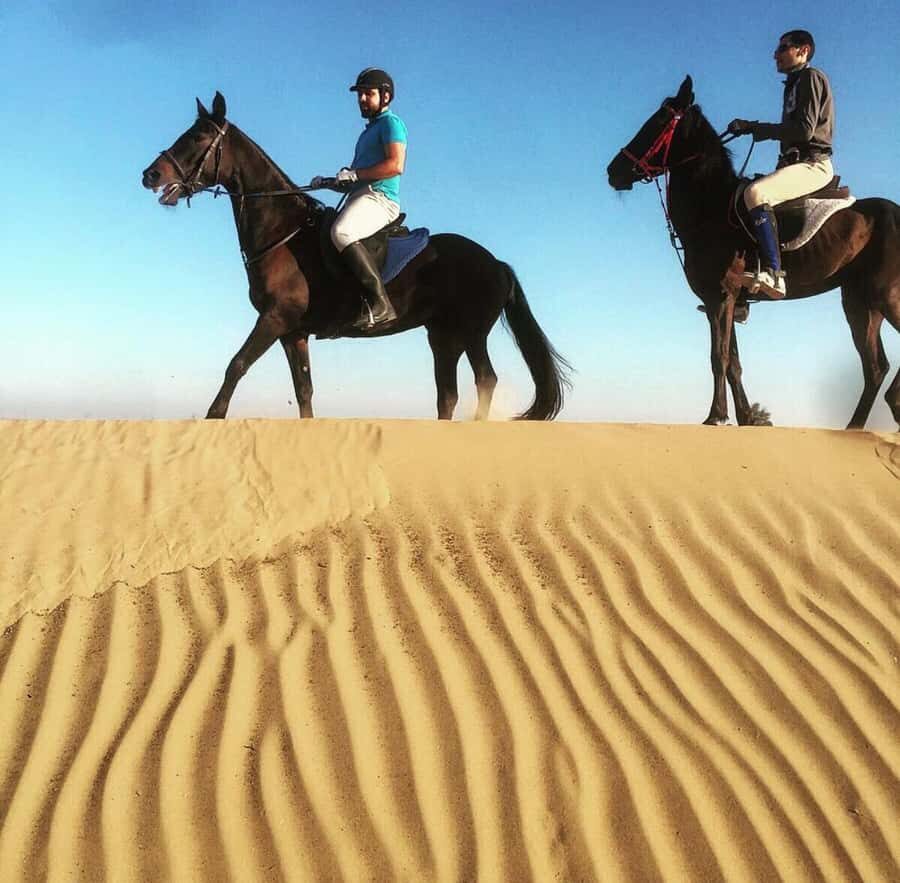 Doha : Horse Riding Tour With Transfer - What to bring for a comfortable desert ride