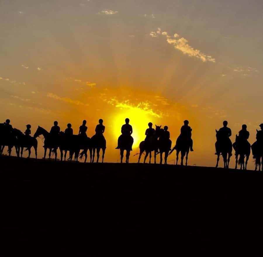 Doha : Horse Riding Tour With Transfer - How guides like Wadood, Zia, and Tariq change the whole ride
