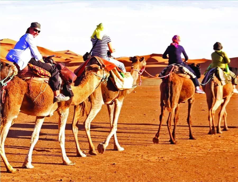 Doha: InlandSea Tour,Camel,Sand Boarding With All Activities - Sandboarding on the Arabian dunes: how to enjoy the ride (and the wipeouts)