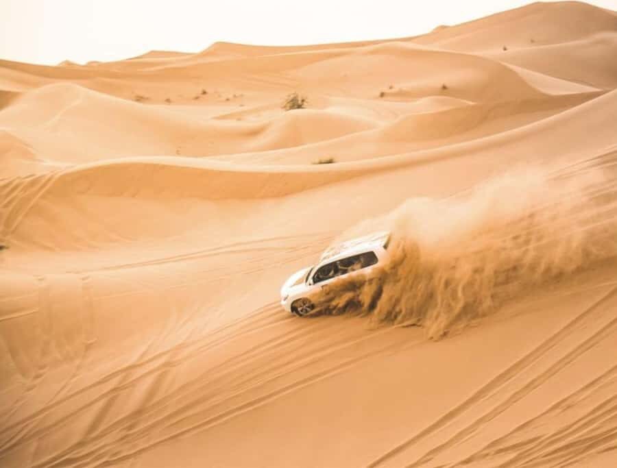 Doha: InlandSea Tour,Camel,Sand Boarding With All Activities - Price and value: what $13 buys you in real terms