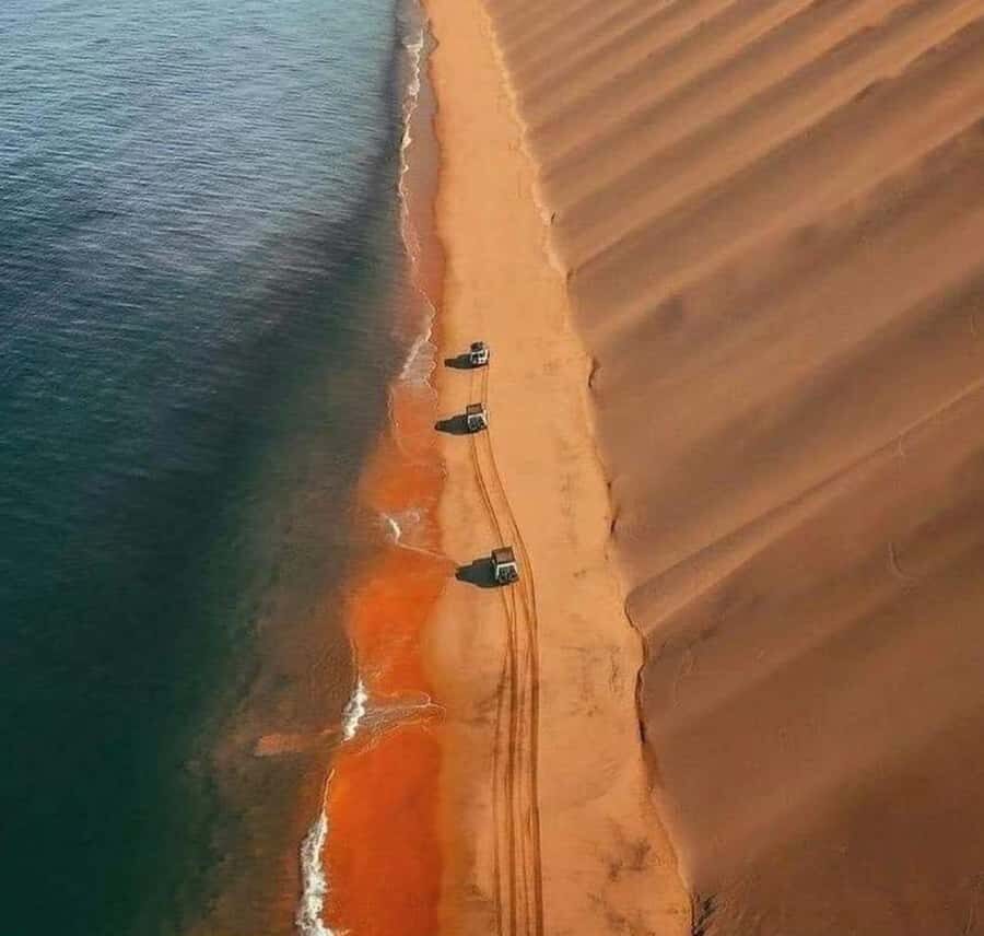 Doha: InlandSea Tour,Camel,Sand Boarding With All Activities - Practical tips for a smoother dune day