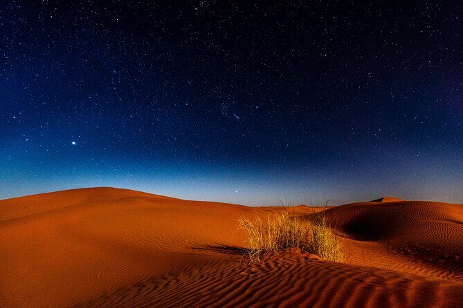 Doha Night Desert Safari Adventure - Bedouin Tent Time, Camel Ride, and Falcon Moments