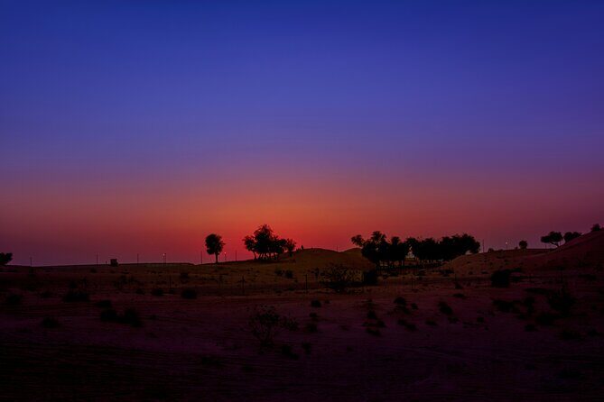 Doha Night Desert Safari Adventure - Dune Bashing and Sandboarding: Where the Adrenaline Hits