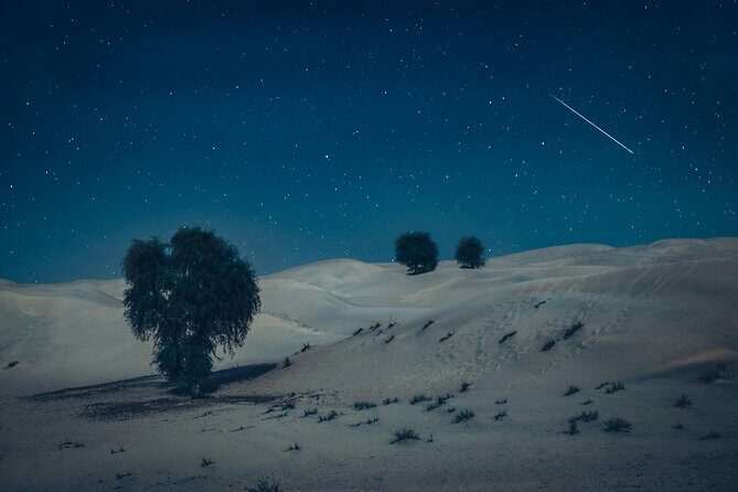 Doha Night Desert Safari Adventure - Pickup to Sealine: The Real Start of the Adventure