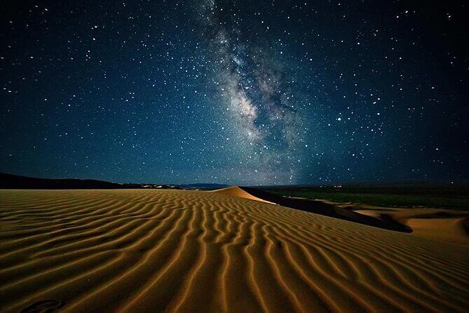Doha Night Desert Safari Stargazing Camel Ride and Dune Bashing - A 4-hour Doha night safari that balances thrills and calm