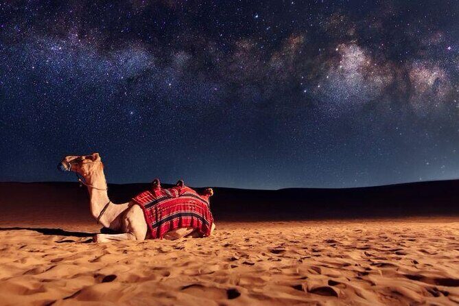 Doha Night Desert Safari Stargazing Camel Ride and Dune Bashing - Sealing the deal at Sealine Beach: camel ride and tea camp calm