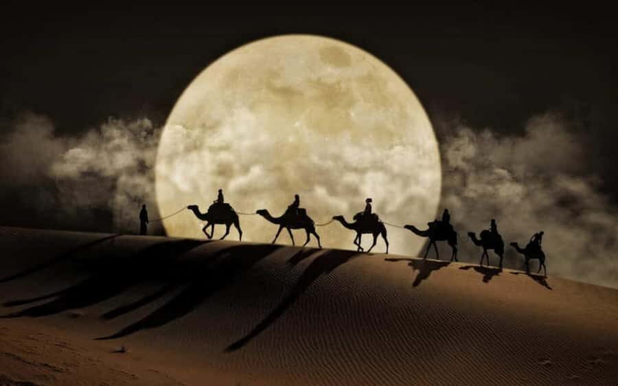 Doha: Night Desert Safari, Stargazing, Dune Driving &Inland - Key highlights worth getting excited about