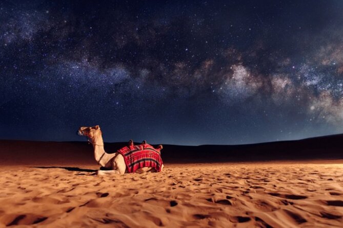 Doha Night Desert Safari, Stargazing, Photography، Relaxation - Tea, water, and the 3–4 hour rhythm