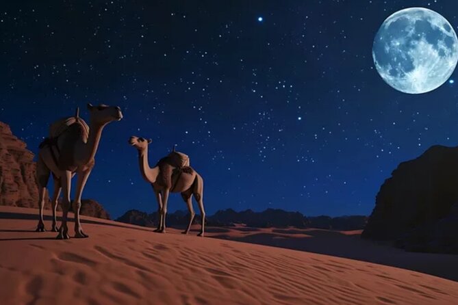 Doha Night Desert Safari, Stargazing, Photography، Relaxation - Price and value: is $77.50 a good deal in Doha?