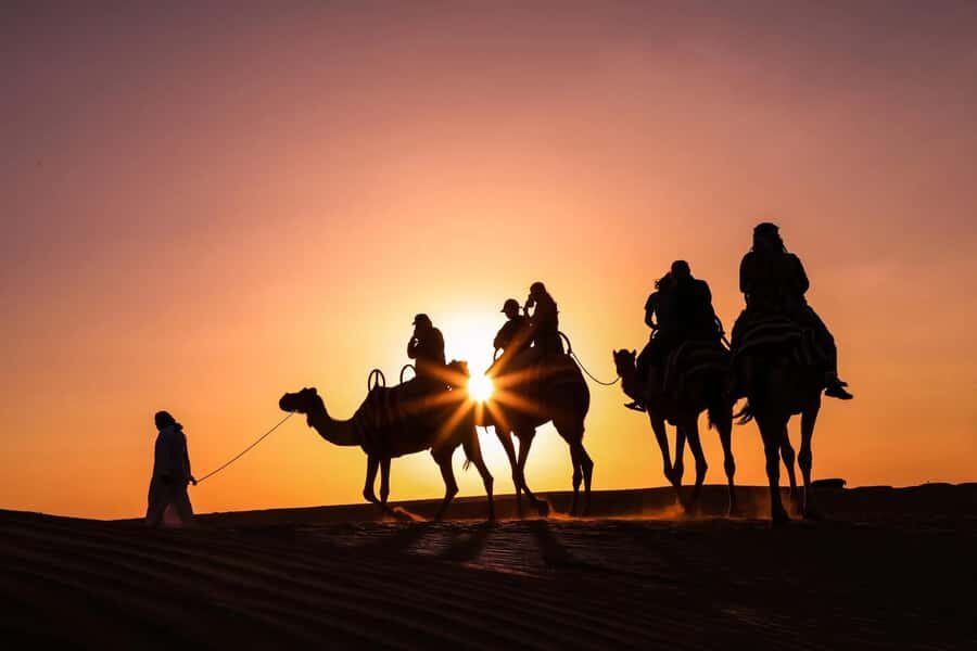 Doha: Night Desert Safari with Camel Ride and Sandboarding - Key things to know before you go