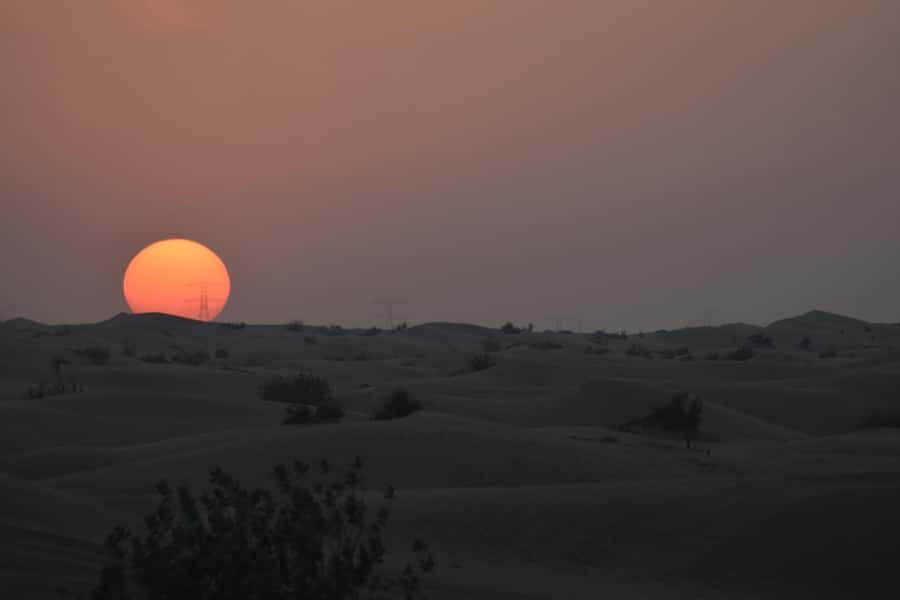 Doha: Night Desert Safari with Camel Ride and Sandboarding - The Camel Ride Stop: Optional, Short, and Worth It for the Mood