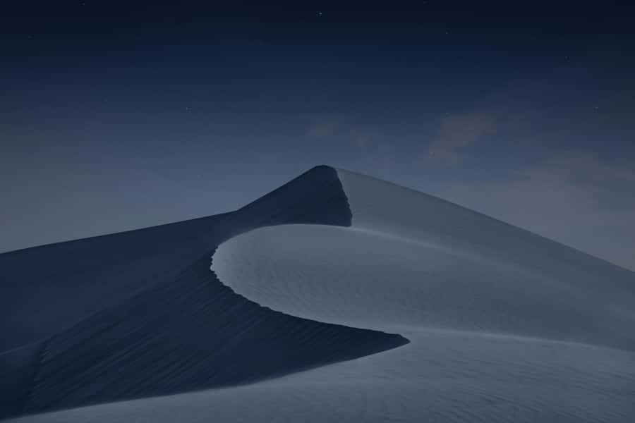 Doha: Night Desert Safari with Camel Ride and Sandboarding - Guides, Private Group Energy, and What That Changes for You