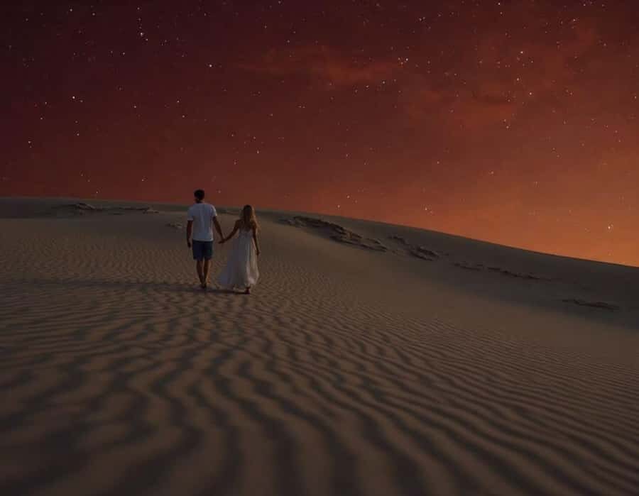 Doha : Night Desert Safari with Dune Bashing & Stargazing - Key highlights I’d pencil in
