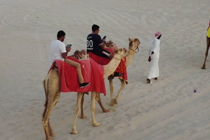 Doha-Night Desert Safari with Sand Board and Camel Ride - Sandboarding and Camel Riding: Classic Qatar Style With a Twist of Fun