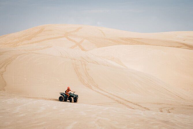 Doha-Night Desert Safari with Sand Board and Camel Ride - Who Should Book This Safari (and Who Should Adjust Expectations)