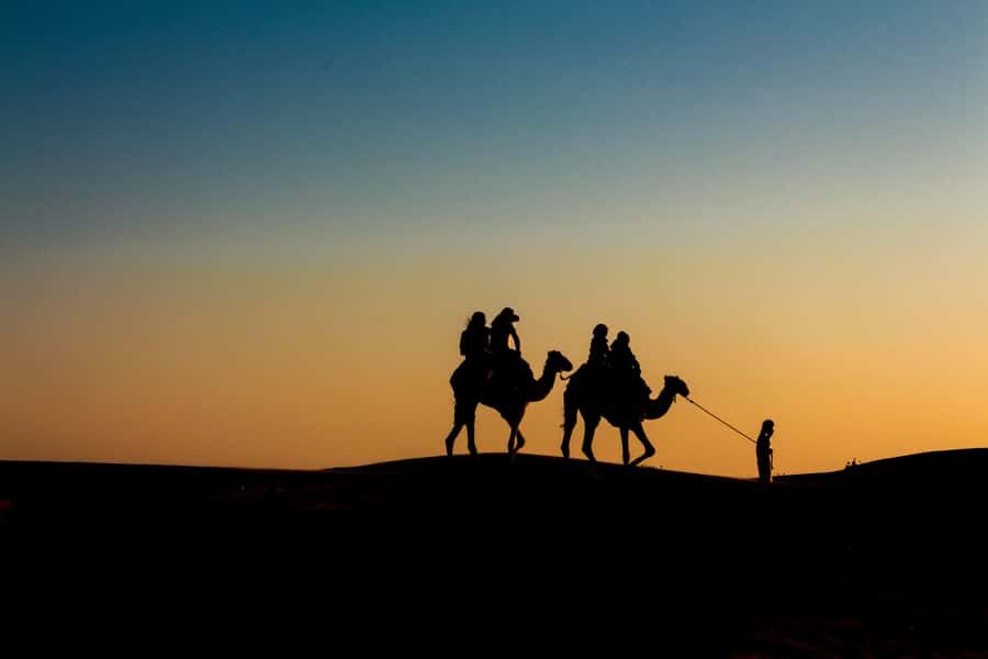 Doha: Night Desert Safari With Stargazing and Inland Sea - Sealine to Dunes: how the night safari actually flows