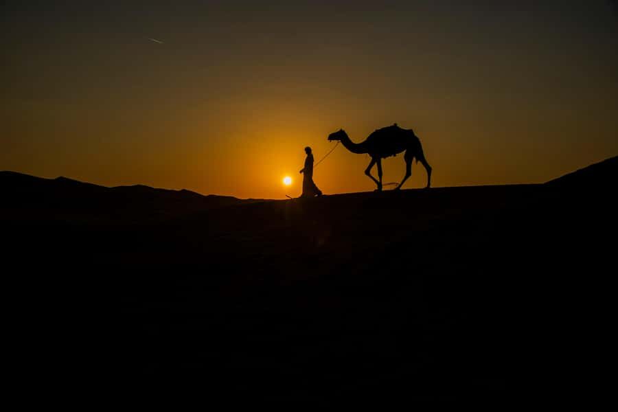 Doha: Night Desert Safari With Stargazing and Inland Sea - How stargazing fits the night (and how to get better photos)
