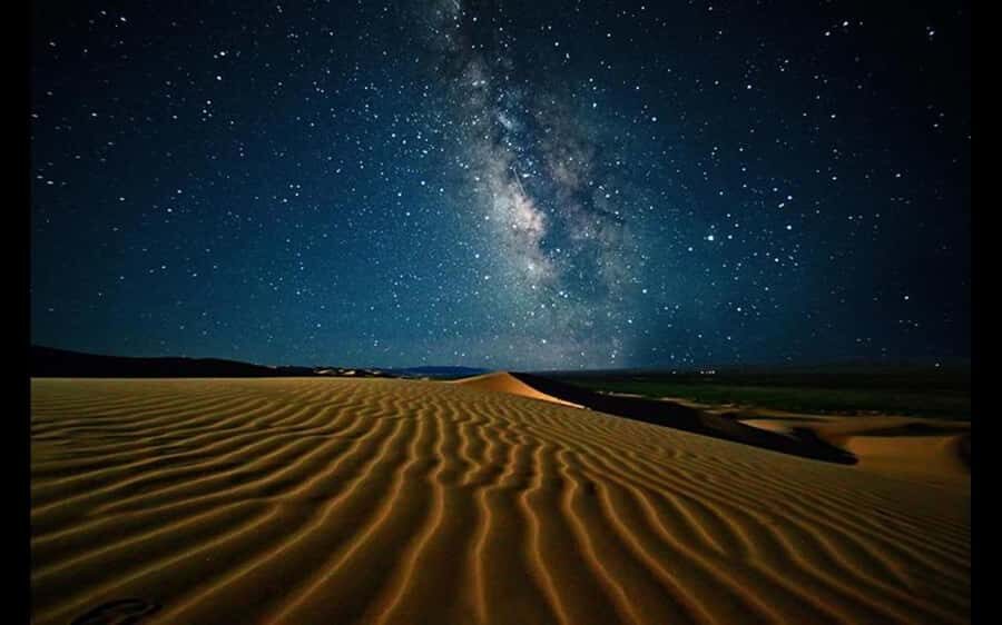 Doha: Night Safari with Dune Bashing and Camel Ride - Guides and the Human Touch: English Support That Helps
