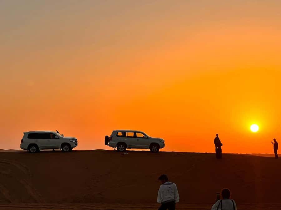 Doha: Nighttime Desert Safari with Dune Bashing & Camel Ride - Price Value: What $24 Per Person Really Buys