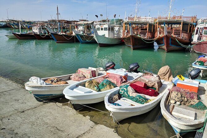 Doha North Tour Zubara Fort Jumail Village Purple Island - Who should book this North Qatar tour?