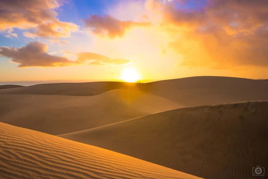 Doha: Overnight Desert Safari with 4x4 Ride and Camp Stay - Should You Book Golden Adventure Tours?