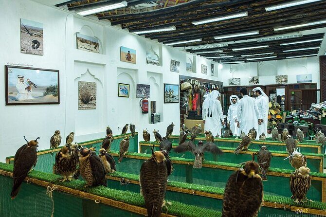 Doha: Private City tour from Cruise Port terminal - What you get for $85: value for cruise-day time