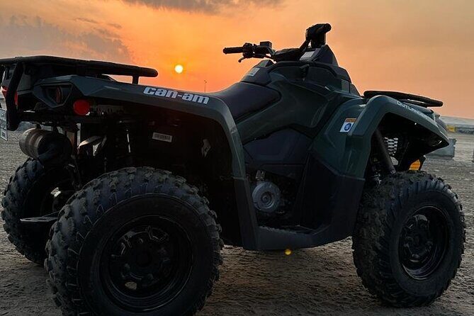 Doha-Private half day safari Sunrise/Sunset - Who This Safari Is Best For (And Who Might Prefer Something Else)