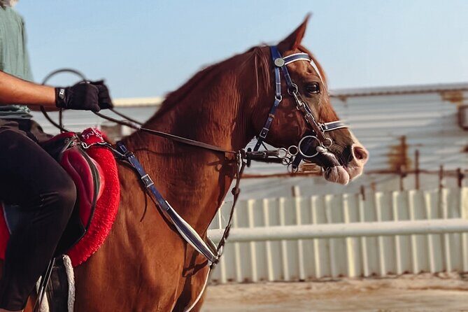 Doha-Private Half Day Safari with Horse Ride/Camel Ride/sandboard - How This Mesaieed Desert Safari Fits a Doha Schedule