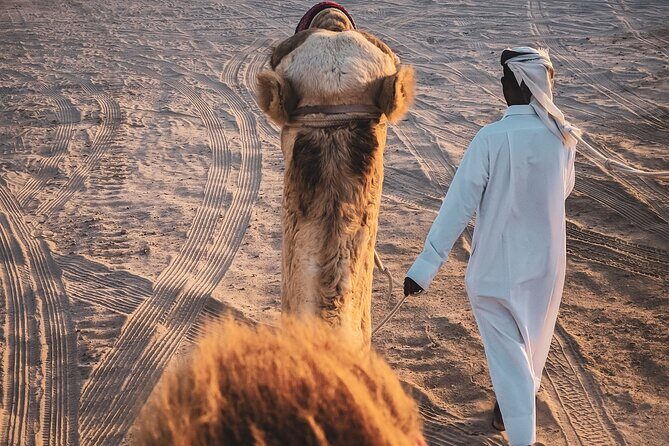 Doha-Private Half Day Safari with Horse Ride/Camel Ride/sandboard - Drinks, Snacks, and the Comfort Pieces That Save Your Energy