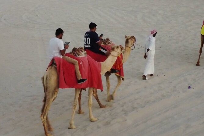 Doha-Private Half Day Safari with Horse Ride/Camel Ride/sandboard - Pickup, Private Car, and a Guide Who Sets the Tone