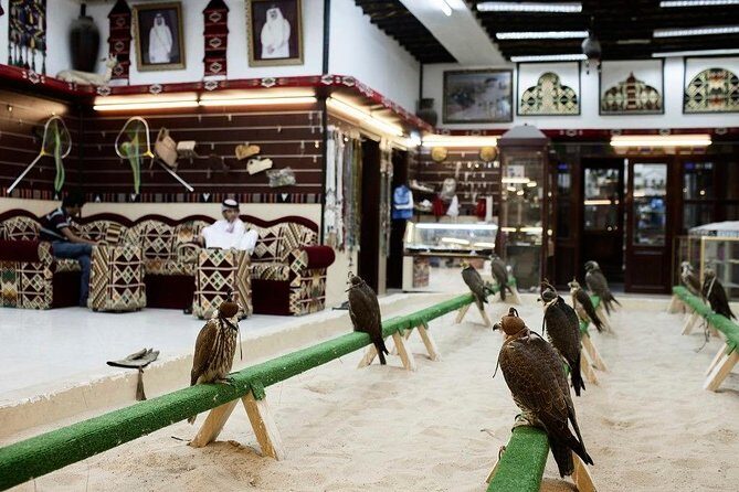 Doha Private Night City Tour – With or Without Local Meal - Katara Cultural Village: where the evening feels more local