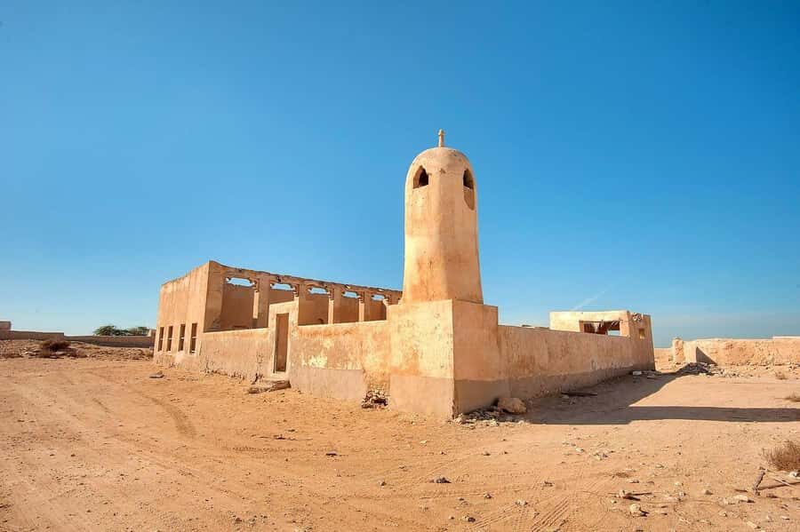 Doha : Private North of Qatar Tour, Zubara Fort & Mangroves - Al Khor harbor and the fish market: where coastal Qatar shows its daily rhythm