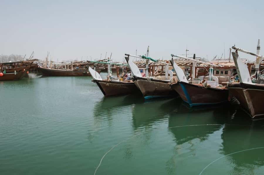 Doha : Private North of Qatar Tour, Zubara Fort & Mangroves - Zubarah Fort: UNESCO archaeology with walkable payoff