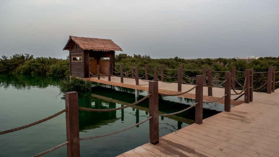 Doha : Private North of Qatar Tour, Zubara Fort & Mangroves - Al Ruwais and the coastal-town feel: the in-between moments matter