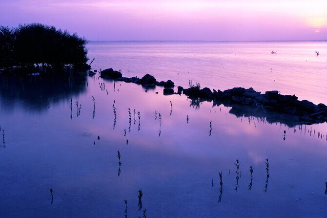 Doha Private North Qatar Tour, Mangroves and Al Zubarah Fort - Why north Qatar feels like a different country than Doha