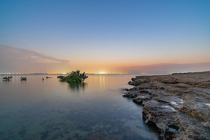 Doha Private North Qatar Tour, Mangroves and Al Zubarah Fort - Purple Island (Jazirat bin Ghanim): where geology meets archaeology
