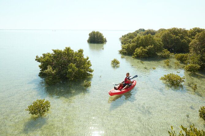 Doha Private North Qatar Tour, Mangroves and Al Zubarah Fort - Price and value: $65 for a focused north loop