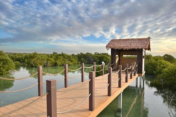 Doha Private North Tour Zubara Fort Purple Island & Mangrove - Purple Island and the Mangrove Causeway: The Photo Stop People Remember