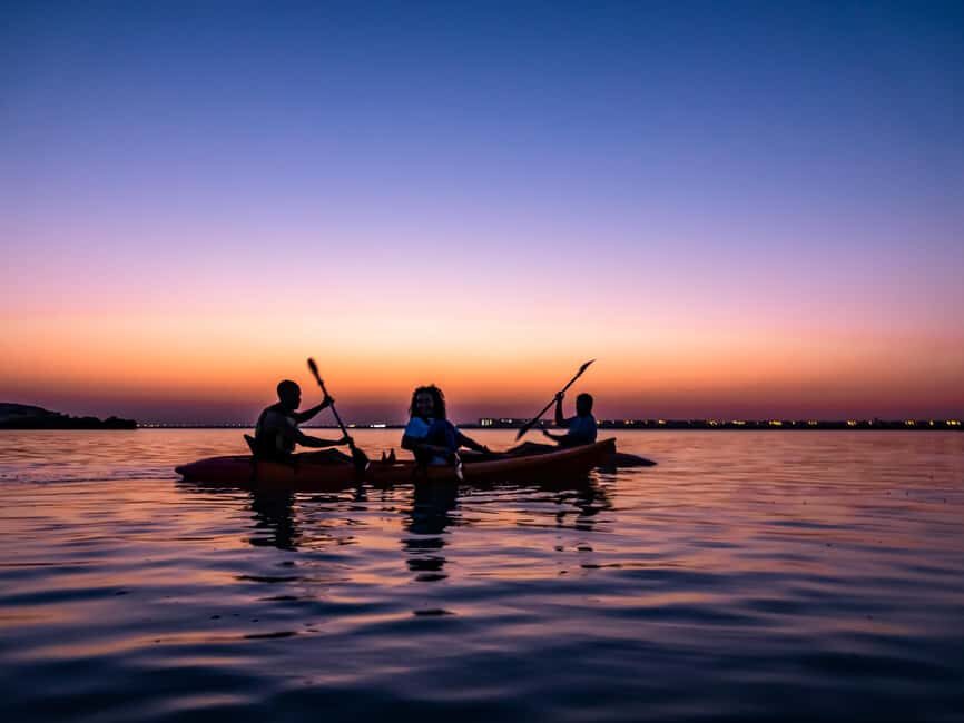 Doha: Private Purple Island Mangroves Kayaking Adventure - Key things to know before you go